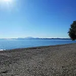 Coral Blue *
