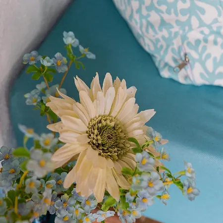 Coral Blue * 巴尔巴蒂