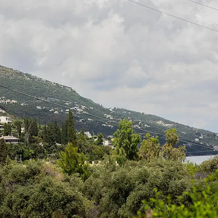 Coral Blue בארבאטי