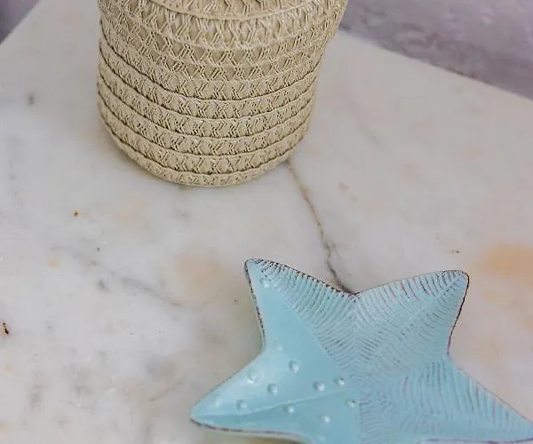 Coral Blue * Barbati
